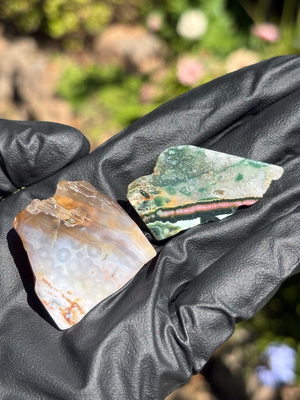 Ocean Jasper Crystal Set - Polished Sea Jasper Bundle - Orbicular Jasper